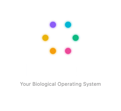Liberture â Content Creation Manager